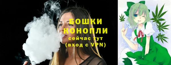 дживик Дмитров