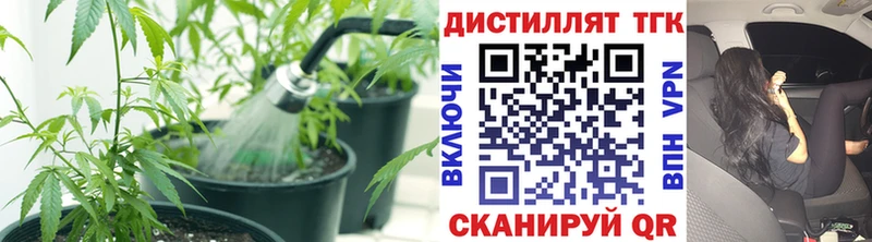 как найти наркотики  Дегтярск  МЕГА ССЫЛКА  ТГК гашишное масло 